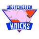 Image for article titled We Made Some Improvements To The Knicks' New D-League Team's Logo